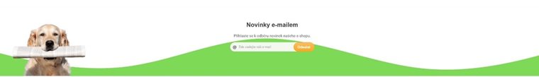 Newsletter – zobrazení na webu